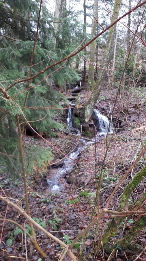 Le Petit Paradis De Sylvala *